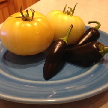 Black Jalapeño and White Tomato from the Garden- Making of Oreo Salsa