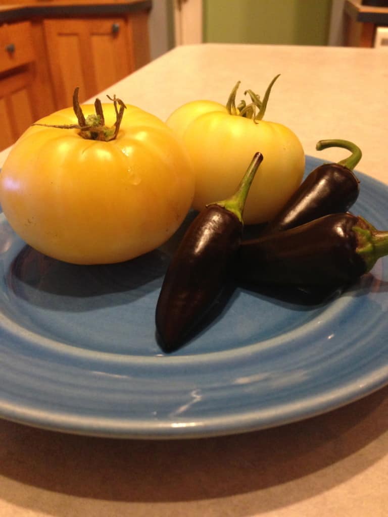 Black Jalapeño and White Tomato from the Garden- Making of Oreo Salsa