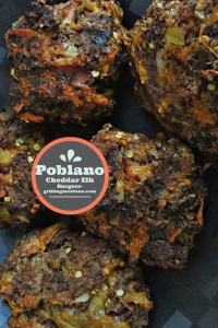 Poblano and Cheddar Elk Burgers with a Flavorful Twist