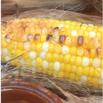 fresh corn on the cob cooked in the blackstone air fryer