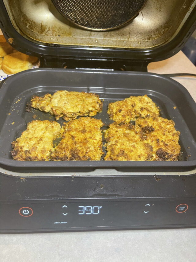 Ninja Foodi Grill Recipe Pretzel Crusted Chicken Sandwich Grilling