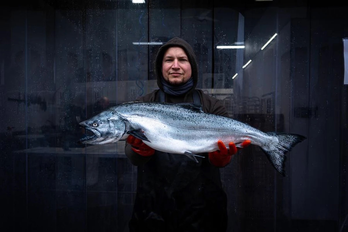 fisherman with Alaskan Salmon