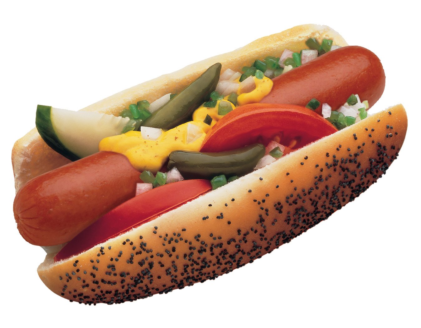 chicago hot dog