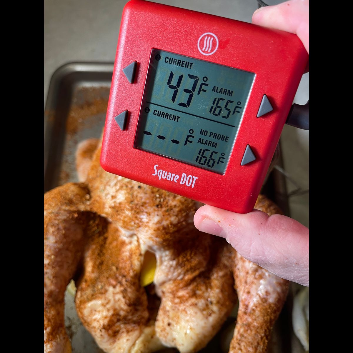 ThermoWorks SquareDot thermometer with chicken